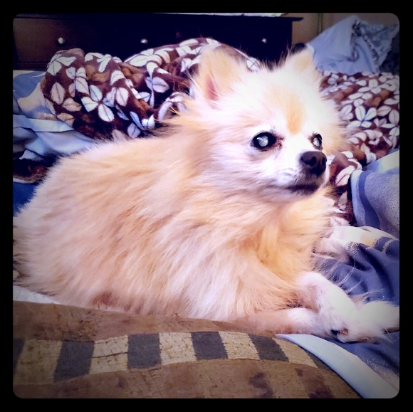 My ❤️💔 - Picture 6 of 6